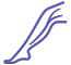 Vein and Vascular Treatment in Houston, TX